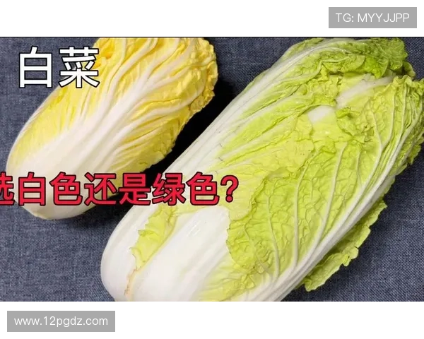 全面了解白菜信息网：最新资讯与实用技巧分享